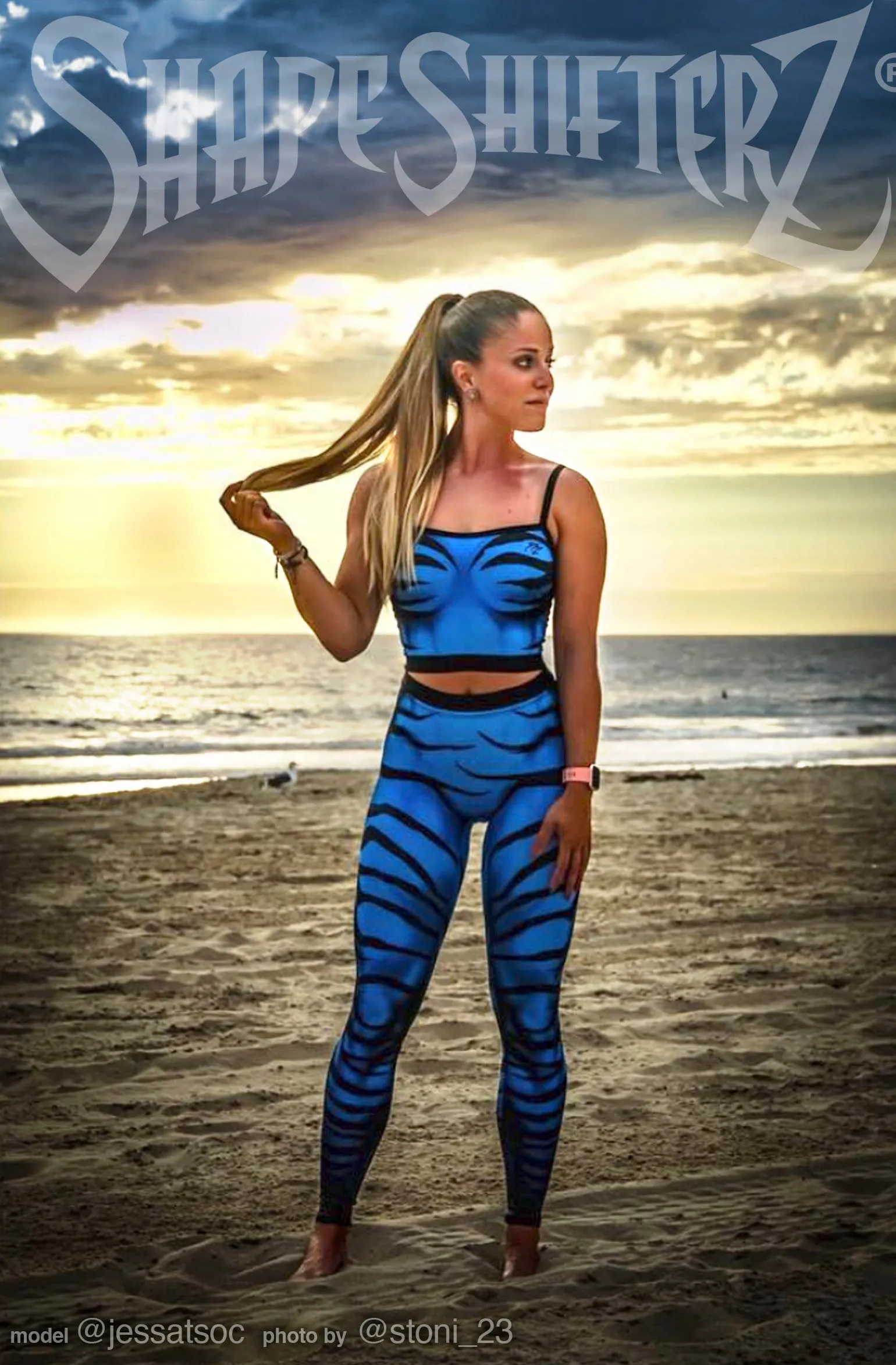 Zebra Leggings - Blue - High Contour